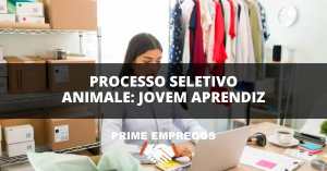 Processo Seletivo Animale: A Moda Te Espera! Seja Jovem Aprendiz na Animale e Comece Sua Carreira!