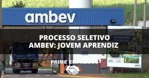Processo Seletivo Ambev: A Chance que Você Esperava - Jovem Aprendiz Administrativo - Goiânia/GO!